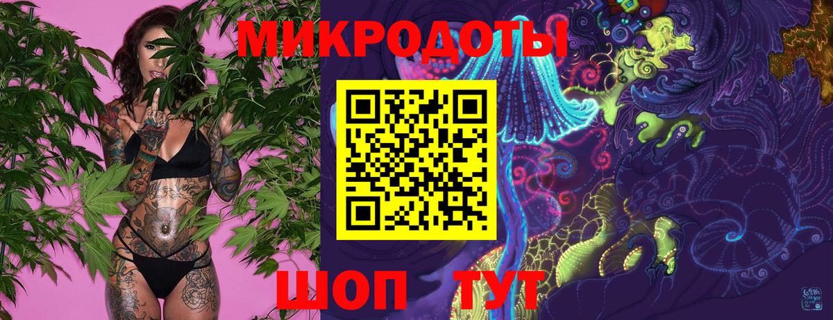 Псилоцибиновые грибы Psilocybe Йошкар-Ола