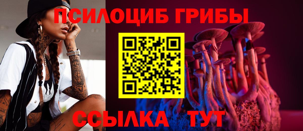Йошкар-Ола  Псилоцибиновые грибы Magic Shrooms  Псилоцибиновые грибы ЛСД  Вход с VPN 